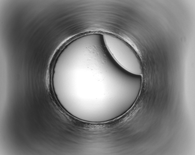 X0000093611076200710151012