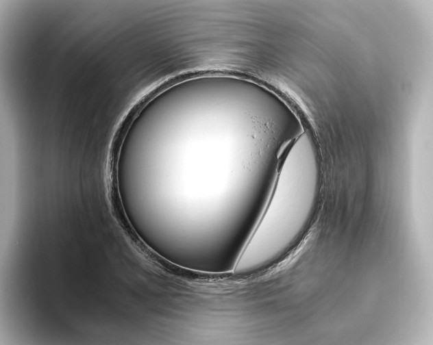 X0000093611077200710151012