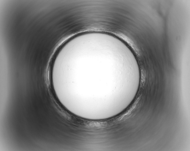 X0000093611078200710151012