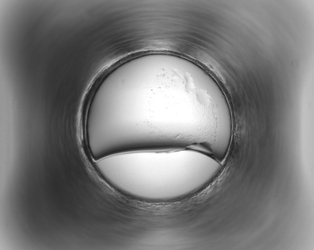 X0000093611080200710151012