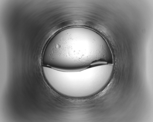 X0000093611081200710151012