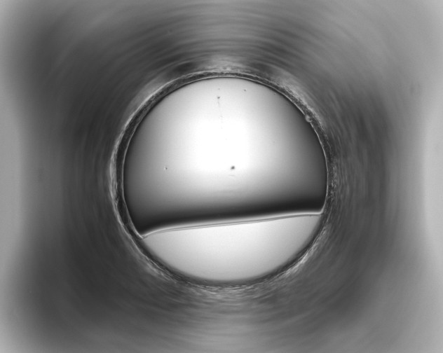 X0000093611082200710151012