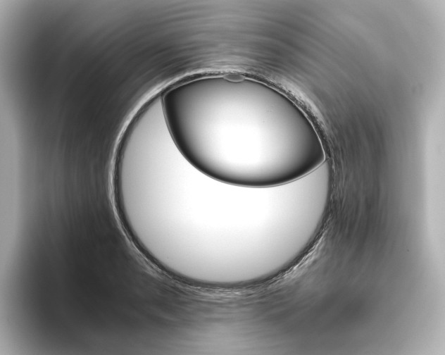 X0000093611085200710151012