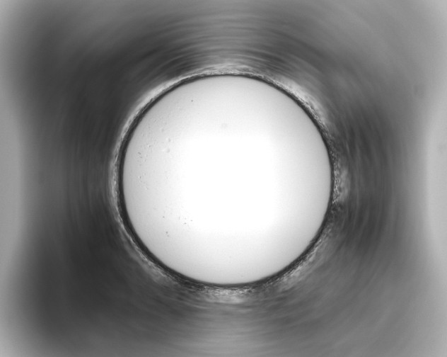 X0000093611086200710151011