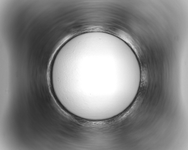 X0000093611090200710151011