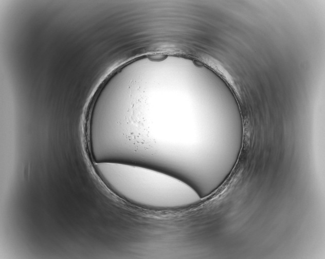X0000093611091200710151011