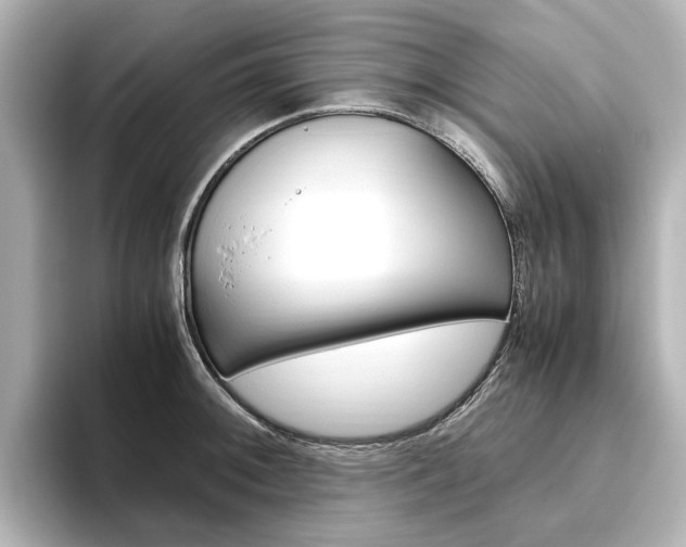 X0000093611092200710151011