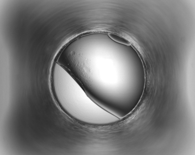 X0000093611093200710151011