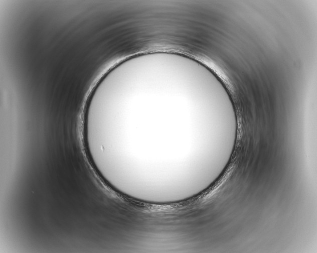 X0000093611094200710151011