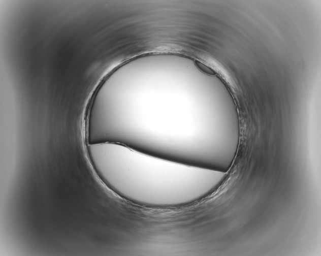X0000093611095200710151011