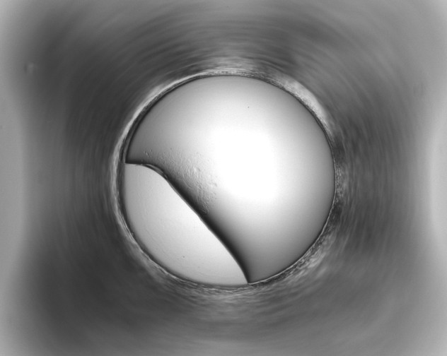 X0000093611099200710151011
