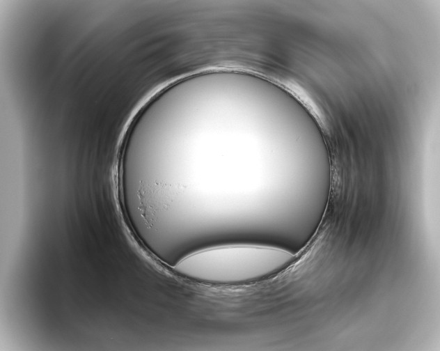 X0000093611100200710151011