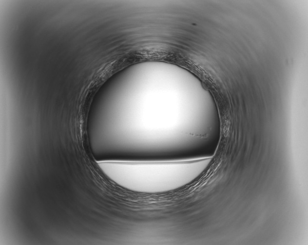 X0000093611108200710151011