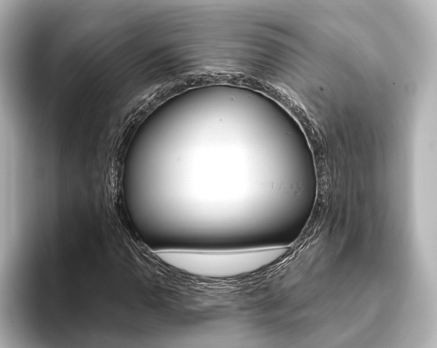X0000093611110200710151011