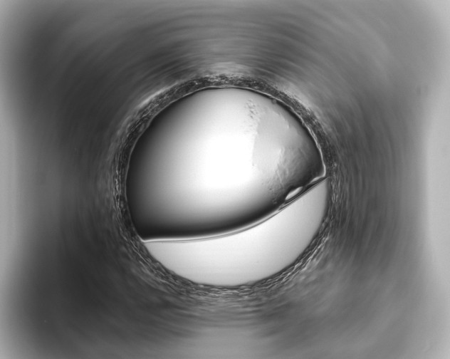 X0000093611112200710151011