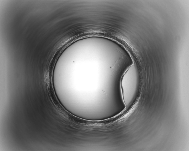 X0000093611113200710151011