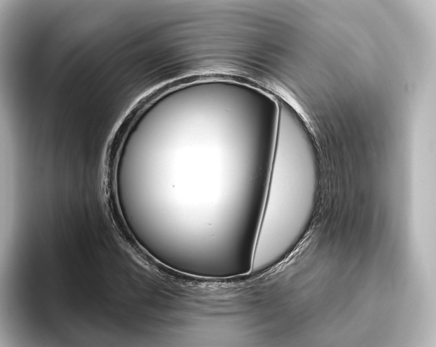 X0000093611116200710151011