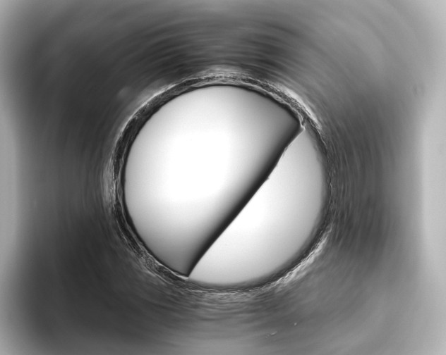 X0000093611117200710151011