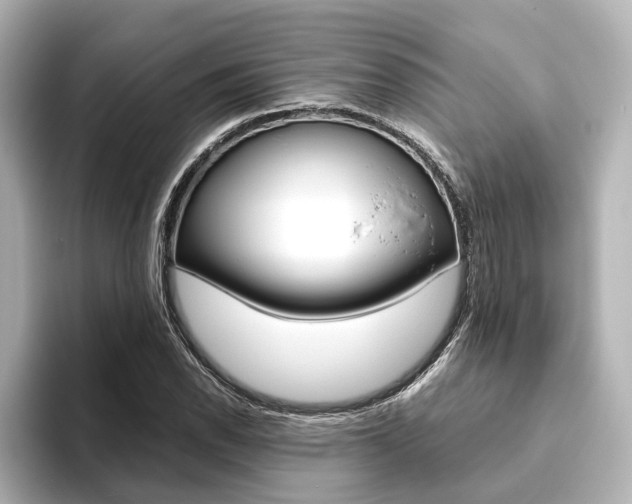 X0000093611118200710151011