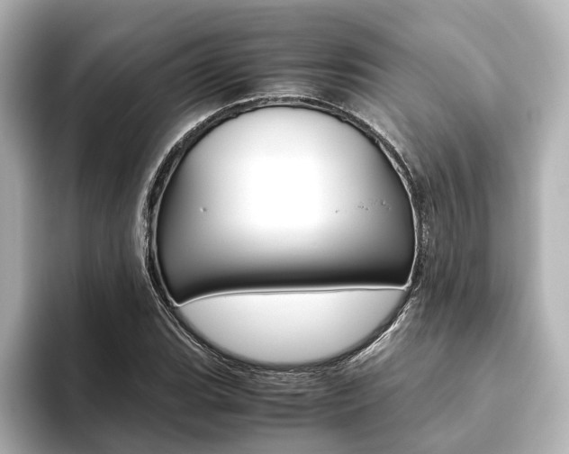 X0000093611119200710151011