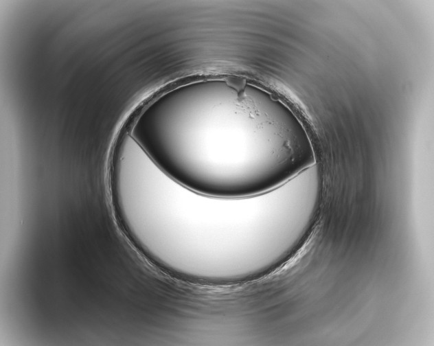 X0000093611122200710151011