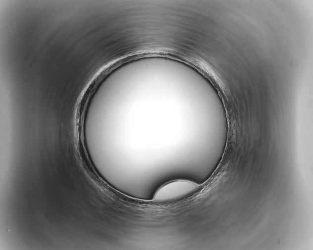 X0000093611124200710151011