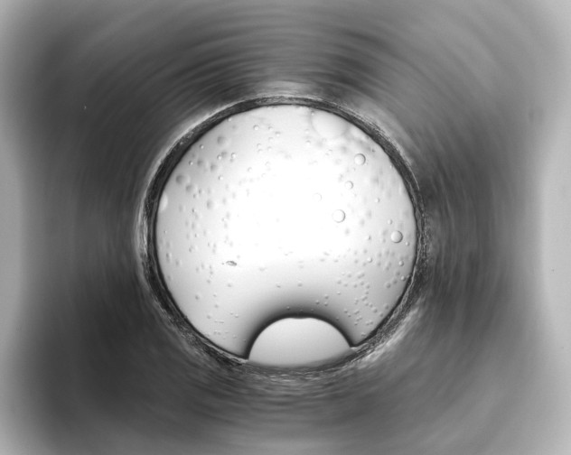 X0000093611125200710151011
