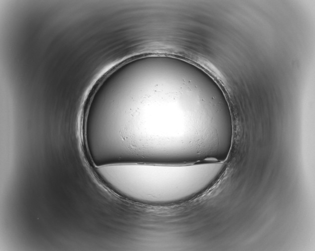 X0000093611128200710151011