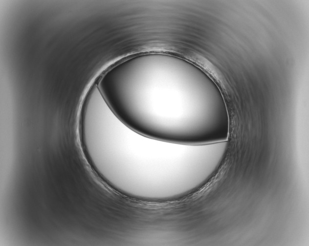 X0000093611132200710151011