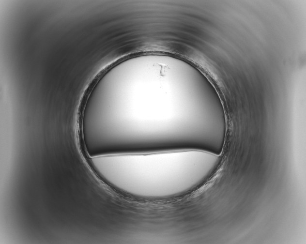X0000093611133200710151011