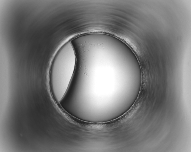 X0000093611134200710151011