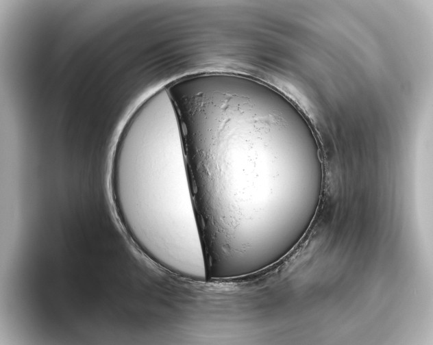 X0000093611136200710151011