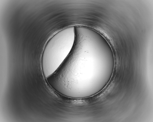 X0000093611137200710151011