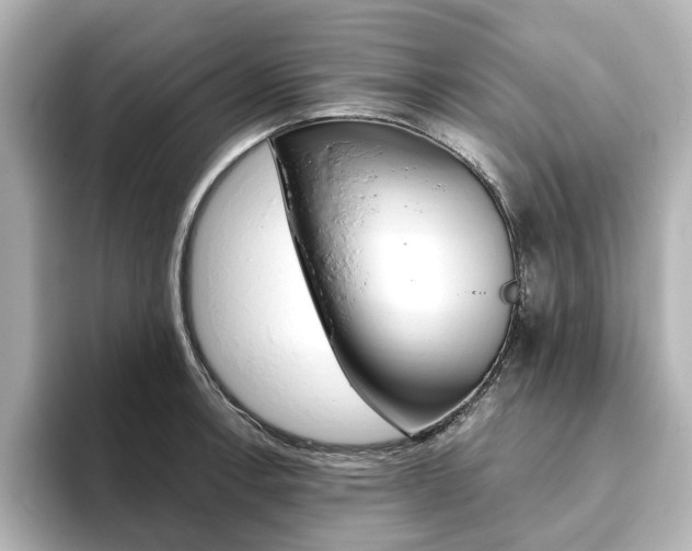 X0000093611138200710151011