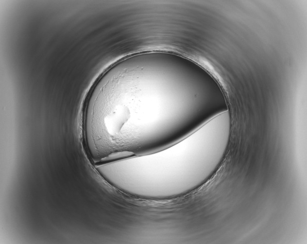 X0000093611140200710151011