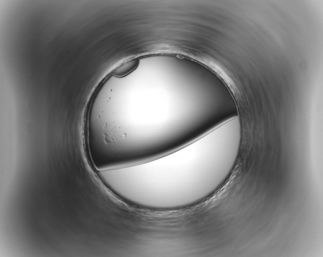 X0000093611142200710151011