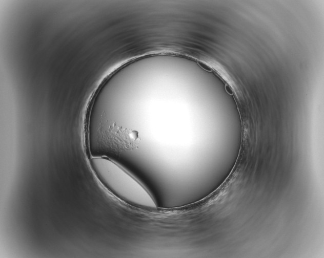 X0000093611143200710151011