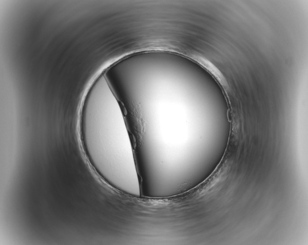X0000093611144200710151011