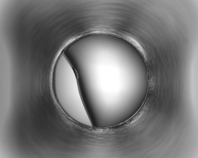 X0000093611146200710151011