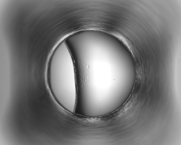X0000093611147200710151011