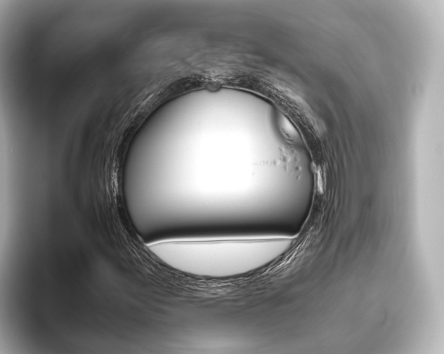 X0000093611155200710151011