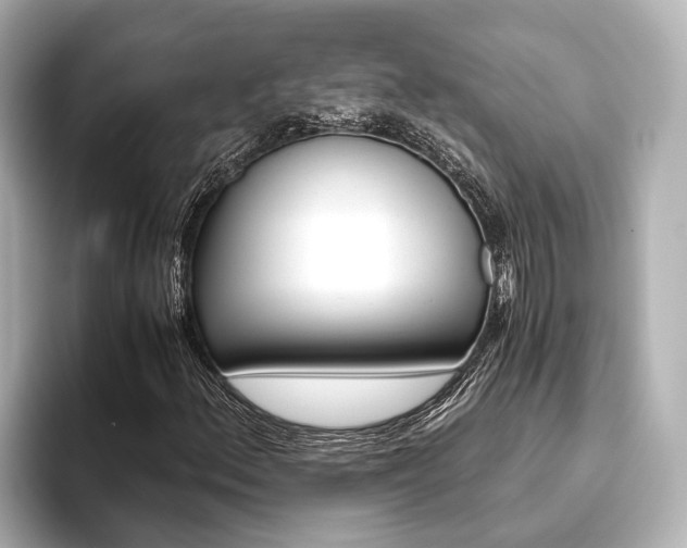 X0000093611156200710151011