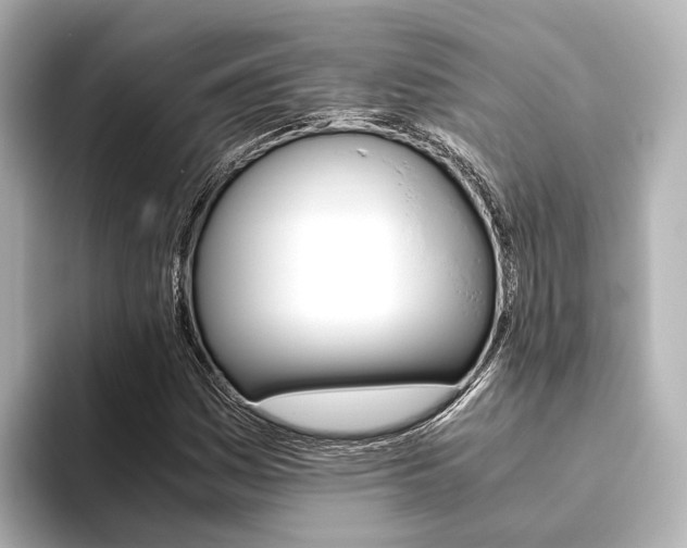 X0000093611161200710151011