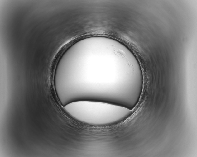 X0000093611166200710151011