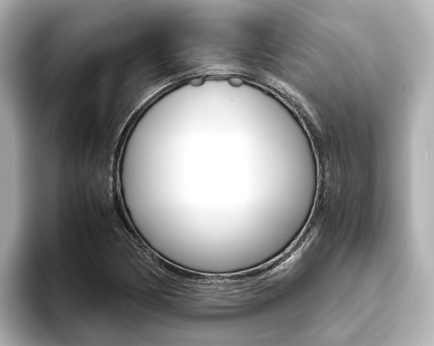 X0000093611170200710151011