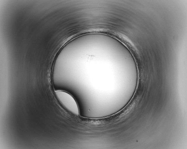 X0000093611177200710151010