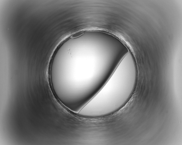 X0000093611189200710151010