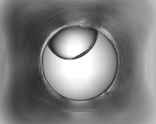 X0000093611200200710151010