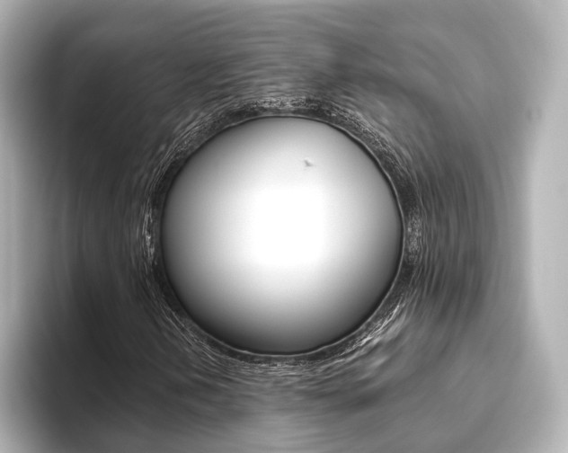 X0000093611202200710151010