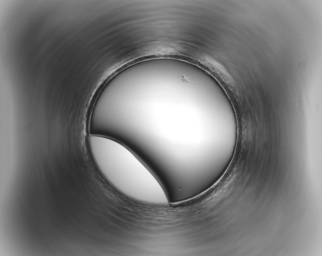X0000093611226200710151010